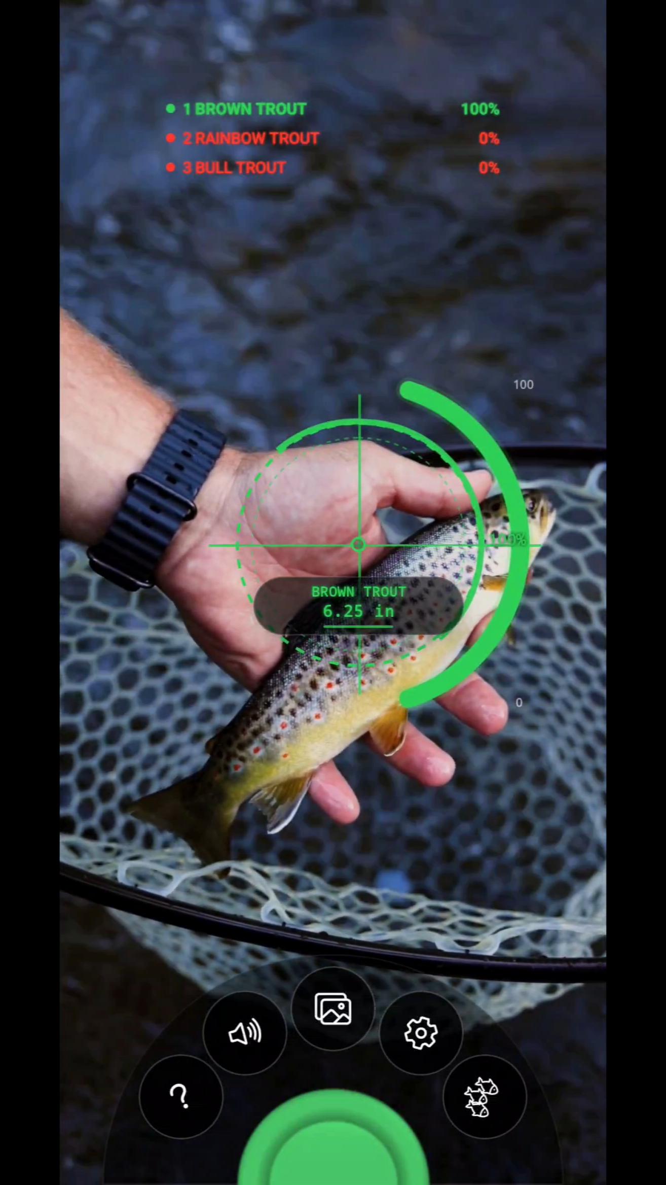 FishLock lock-on identification and measurement screen